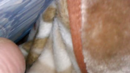 روستایی تازه به خوردن هر یک از دیگر گربه دوست دارم برای فیلم سوپرسکی رفتن به